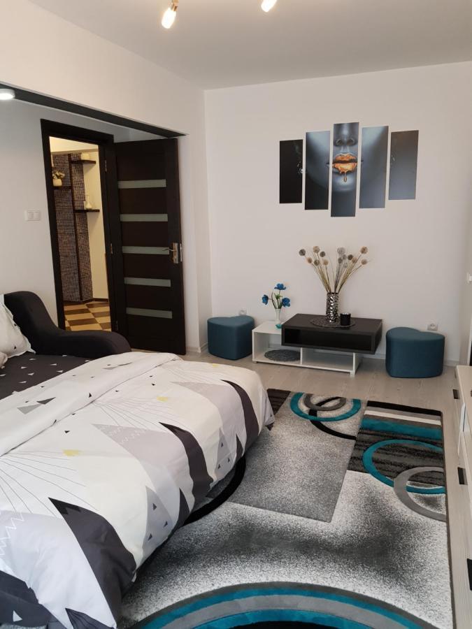 Apartament Sofy2 Băile Herculane Exteriör bild