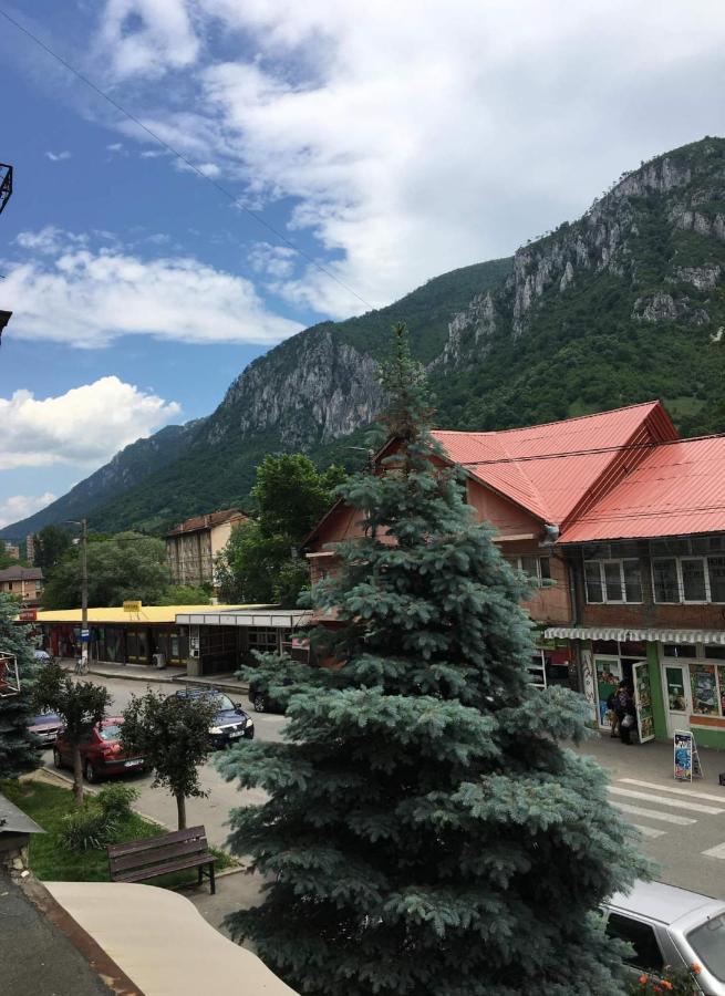 Apartament Sofy2 Băile Herculane Exteriör bild