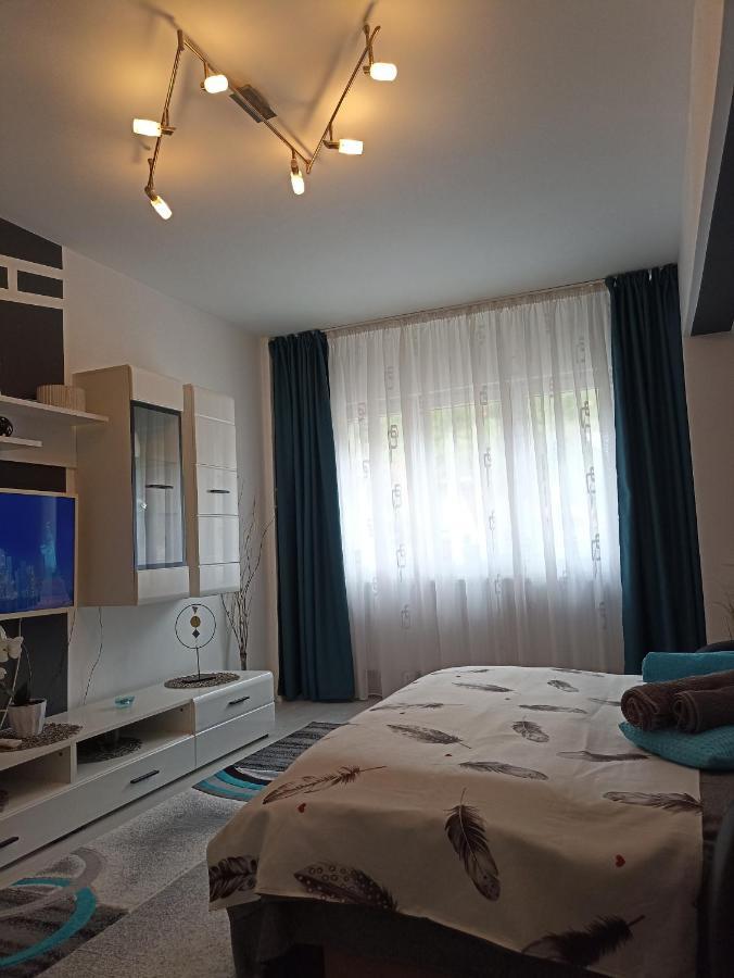 Apartament Sofy2 Băile Herculane Exteriör bild
