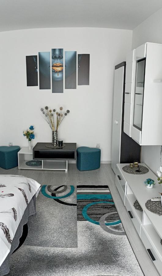 Apartament Sofy2 Băile Herculane Exteriör bild