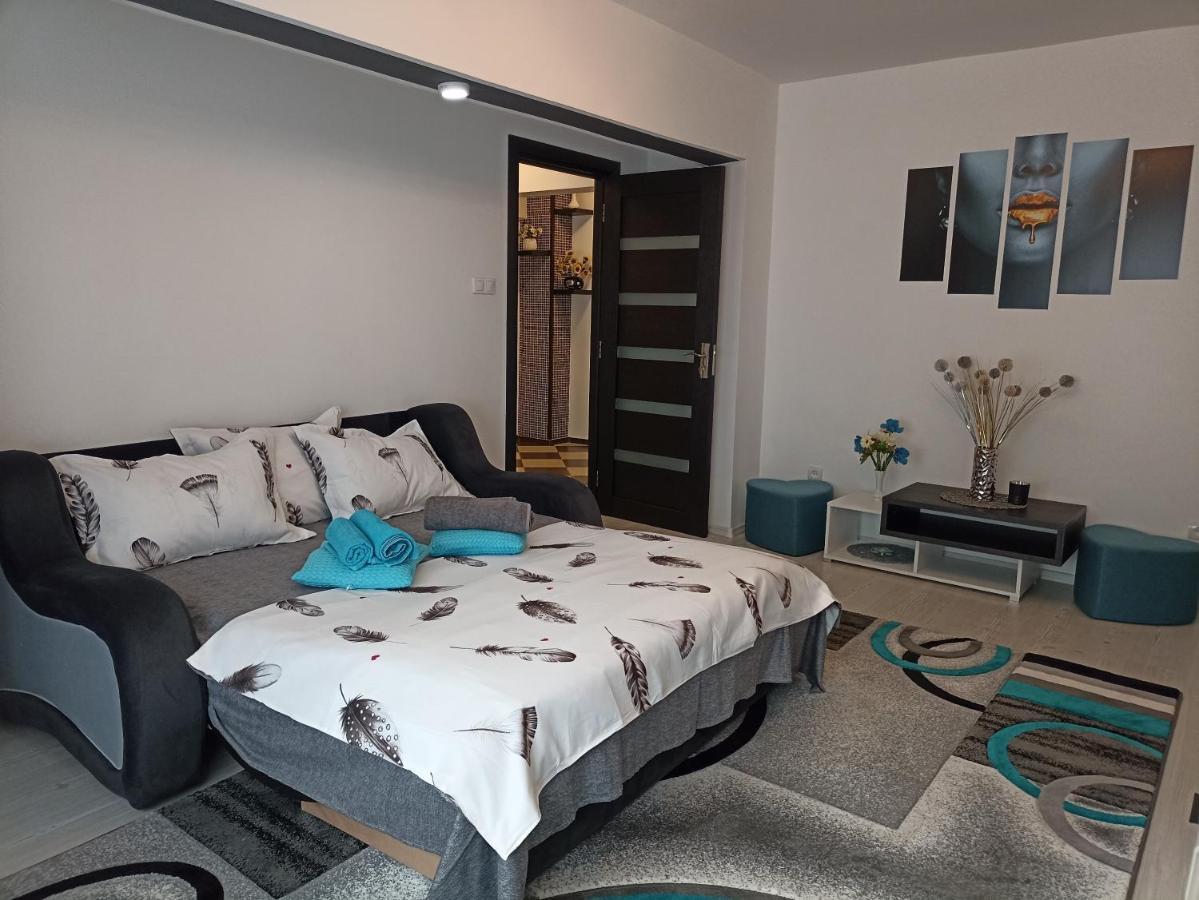 Apartament Sofy2 Băile Herculane Exteriör bild
